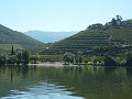 77_balade sur le douro_pinaho